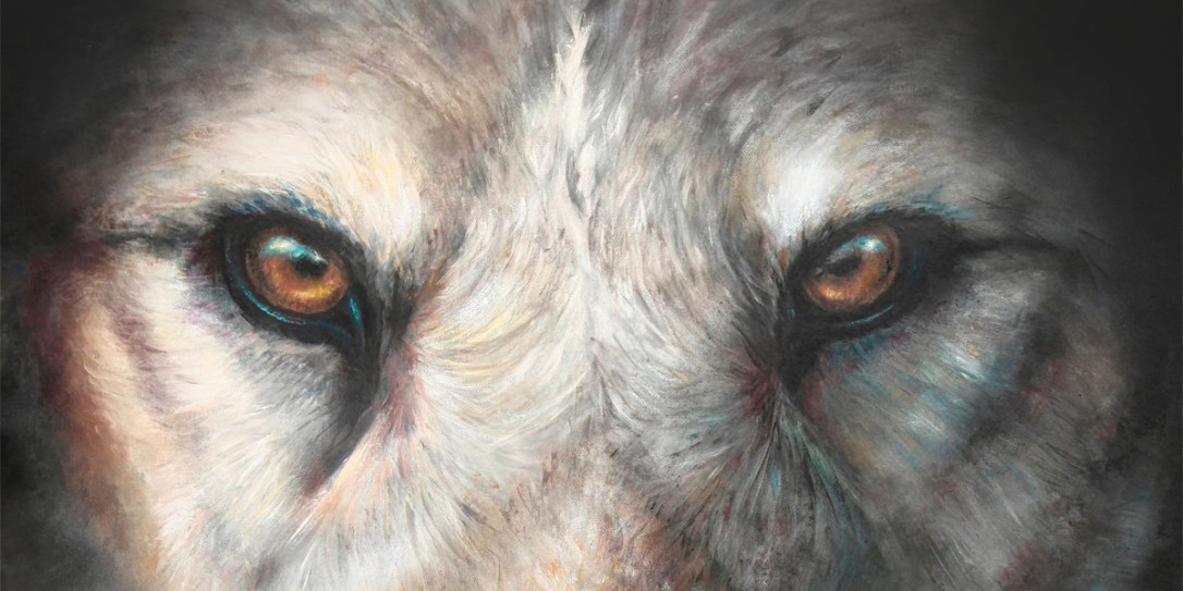 Quels sont les bienfaits de la reconnexion avec son animal&nbsp;Totem?